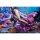 Hobby sakura [Bonus] GODDESS OF VICTORY: NIKKE Little Mermaid Abyss Flower 1/7 Complete Figure Deluxe Edition รูปภาพ 9