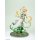 Hobby sakura [Bonus] Wuthering Waves Verina 1/7 Complete Figure image 4