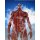 Kaiyodo Mega Soft Vinyl Attack on Titan Colossal Titan รูปภาพ 14
