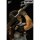 Kyoto Figure Berserk Guts: Childhood 1/6 Complete Figure hình ảnh 8