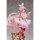 Hobby sakura White Rabbit Rosu Wonderland Ver. 1/7 Complete Figure Deluxe Edition รูปภาพ 7