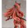Claynel Umamusume Pretty Derby Maruzensky Signature Racewear Ver. 1/7 Scale Figure image 13