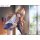 FURYU Toradora! Taiga Aisaka 1/7 Complete Figure Bild 7