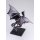Kotobukiya OSHI WORKS Yu-Gi-Oh! Duel Monsters Red-Eyes Black Dragon Complete Figure hình ảnh 11