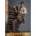 Hot Toys Movie Masterpiece "Movie Indiana Jones and the Temple of Doom" 1/6 Scale Figure Indiana Jones (Deluxe Edition) imagen 13