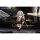GENESIS PICCODO ACTION DOLL Honkai: Star Rail Trailblazer [Female] Chibi Doll image 11
