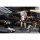 GENESIS PICCODO ACTION DOLL Honkai: Star Rail Trailblazer [Female] Chibi Doll image 13
