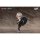 GENESIS PICCODO ACTION DOLL X: Star Rail Trailblazer [Male] Chibi Doll 图片 7
