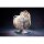 MAGI ARTS Chobits Chi 1/6 Complete Figure Deluxe Edition hình ảnh 8