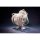 MAGI ARTS Chobits Chi 1/6 Complete Figure Deluxe Edition hình ảnh 9