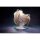 MAGI ARTS Chobits Chi 1/6 Complete Figure hình ảnh 3