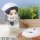 MegaHouse LookUp Attack on Titan Levi Cleaning Ver. Complete Figure image 9