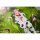BearPanda [Bonus] Eiifox & BearPanda Nyuugyuu MOMO 1/8 Complete Model Action Figure 圖片 6