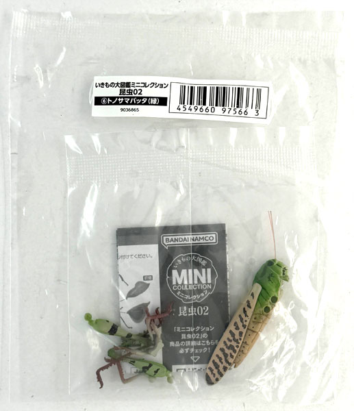 Bandai Ikimono Dai Zukan Mini Collection Insects 02 Migratory Locust (Green)
