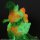CCP JAPAN CCP Middle Size Series Godzilla EX Vol.15 Burning Godzilla Luminous Red Ver. image 12