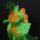 CCP JAPAN CCP Middle Size Series Godzilla EX Vol.15 Burning Godzilla Luminous Red Ver. image 7