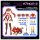 Takara Tomy Metamor Verse MV-01 桐山葵 & 刃锋狮 DRESS CODE #SCARLET 塑料模型 图片 11