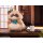 FURYU [Bonus] Real Size Soft Vinyl Collection hololive production Pokobee รูปภาพ 7