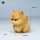 JXK Studio Ham & Chirp Cats Ham image 12