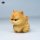JXK Studio Ham & Chirp Cats Ham image 9