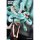 WE ART DOING Medusa Girl Green Viper Illustrated by Yoshioka Complete Figure 圖片 9