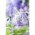 HASUKI New Cuddle Flower NF-002 Viola Non Scale Complete Model ฟิกเกอร์แอคชั่น รูปภาพ 13
