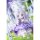 HASUKI New Cuddle Flower NF-002 Viola Non Scale Complete Model ฟิกเกอร์แอคชั่น รูปภาพ 15