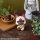 MegaHouse LookUp Monster Hunter Felyne Complete Figure image 9