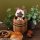 MegaHouse LookUp Monster Hunter Felyne Complete Figure image 10