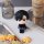MegaHouse LookUp ALIEN STAGE Ivan 完成品模型 圖片 8
