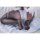 Hanabee [Bonus] Angel's Holy Water Milia Illustrated by Sue 1/6 Complete Figure Deluxe Edition hình ảnh 10