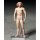 FREEing figma - The Table Museum: Vitruvian Man gambar 5