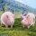 JXK Studio Plump & Round Fat Pig A Bild 11