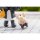 APEX Cuties Series Arknights Doctor Complete Figure Bild 8