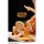 WE ART DOING Pancake Fairies Honey Butter Komplettfigur Bild 3