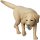 Medicom Toy Ultra Detail Figure No.921 UDF FLOW Dog gambar 4