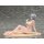 AniGift "Naophelia Bikini ver." illustration by AnimA 1/6 Complete Figure image 7