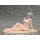 AniGift [Bonus Exclusif ] Figurine complète 1/6 "Naophelia Bikini ver." illustration par AnimA image 7