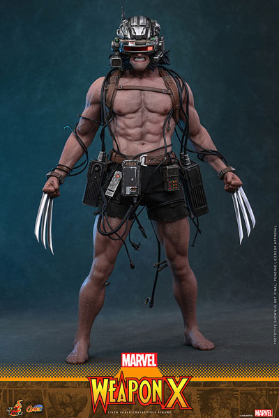 Hot Toys Comic Masterpiece "Marvel Comics" 1/6 Scale Figure Weapon X