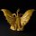 Kaiyodo ARTPLA SCULPTURE WORKS King Ghidorah Re: Imagination Modelo de Plástico imagen 11