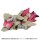 Takara Tomy Transformers Movie TS-31 Kranix image 4