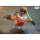 Hot Toys TV Masterpiece "Star Wars Rebels" 1/6 Ezra Bridger 图片 2