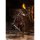 Max Factory figma ELDEN RING Raging Wolf image 5
