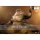 Hot Toys Movie Masterpiece Star Wars 1/6 Rotta The Hutt รูปภาพ 2
