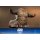 Hot Toys Movie Masterpiece Star Wars 1/6 Rotta The Hutt รูปภาพ 3