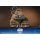 Hot Toys Movie Masterpiece Star Wars 1/6 Rotta The Hutt รูปภาพ 5