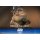 Hot Toys Movie Masterpiece Star Wars 1/6 Rotta The Hutt รูปภาพ 7