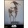 Hot Toys Movie Masterpiece "Star Wars Episode I / Die dunkle Bedrohung" 1/6 Scale Figur Battle Droid & STAP Bild 8
