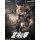 MAESTRO UNION Fist of the North Star Kenshiro 1/12 Scale Posable Figure gambar 2
