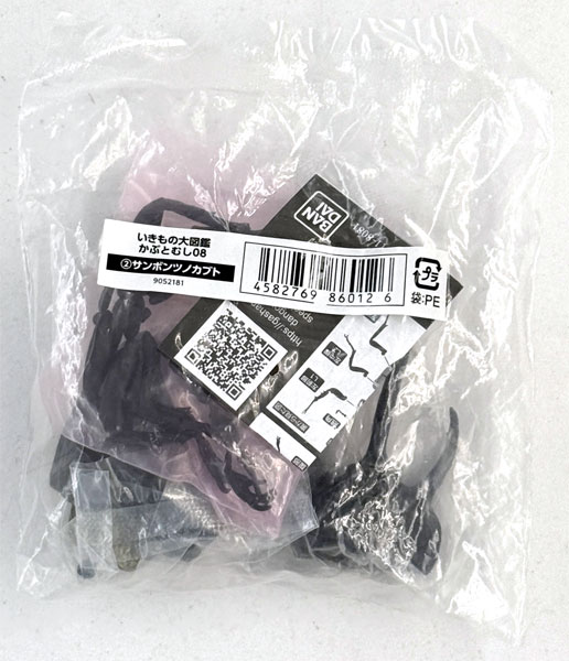 Bandai Ikimono Dai Zukan Beetle 08 Beckius Beccari
